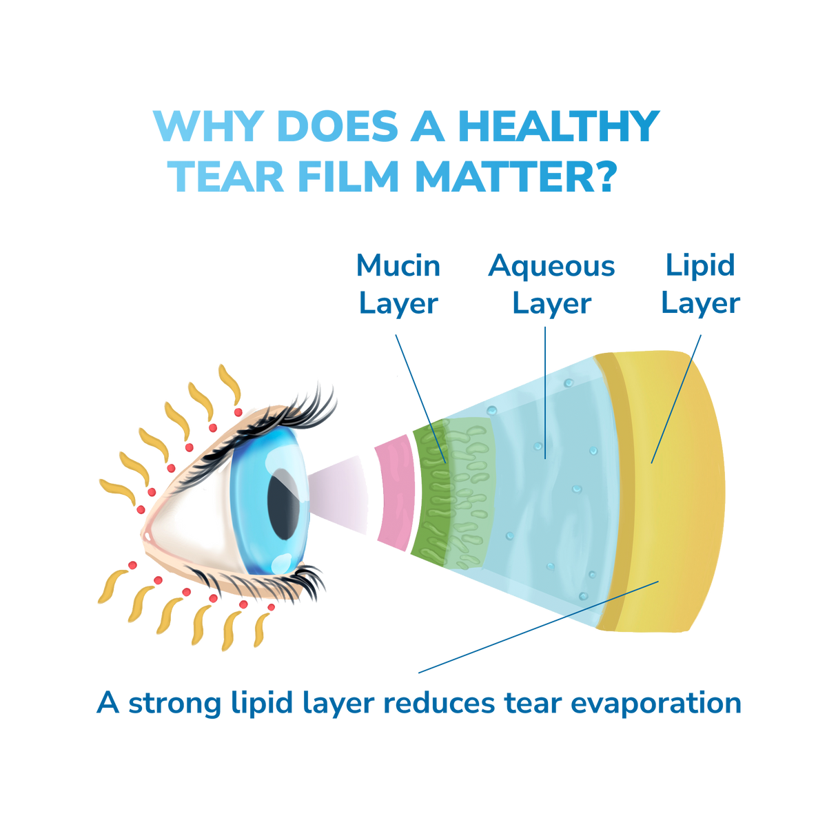 OPTASE® Moist Heat Mask The Eye Doctor Shop